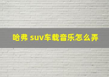 哈弗 suv车载音乐怎么弄